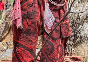 SUMMER INITIATION COORDINATING COMMITTEE PROCCESSES TO BE FOLLOWED