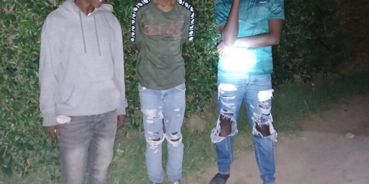 Meqheleng Community Takes Charge of Safety: Night Patrols Lead to Arrests