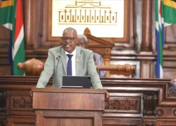 MEC Ketso Makume Presents Pro-Growth Budget